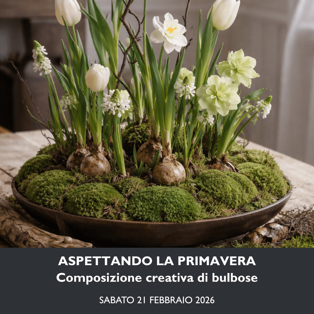 Aspettando la primavera 21.02.26