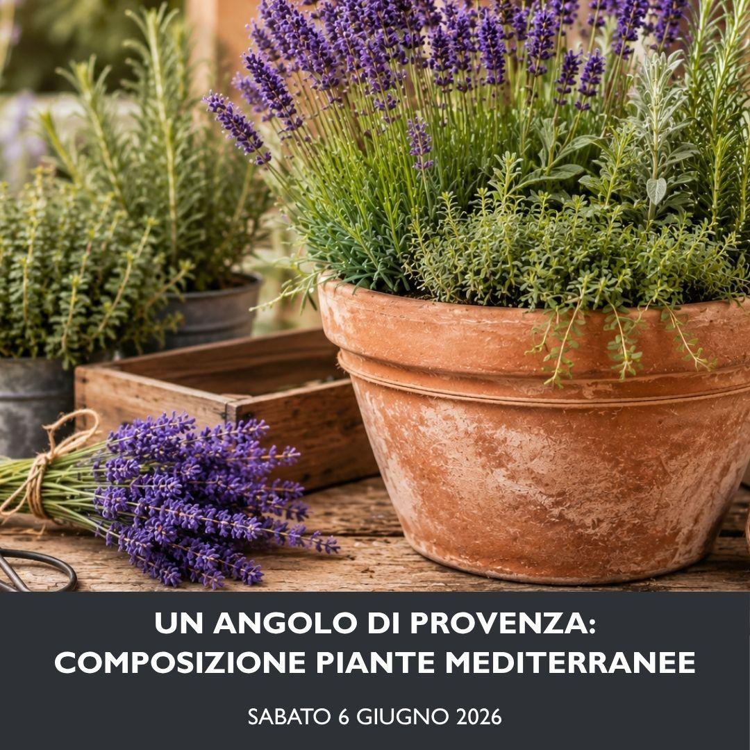 WORKSHOP_Un angolo di provenza