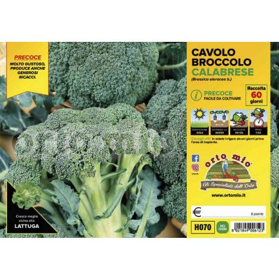 Cavolo Broccolo Heraklion H070