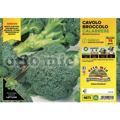 Cavolo Broccolo Marathon H073