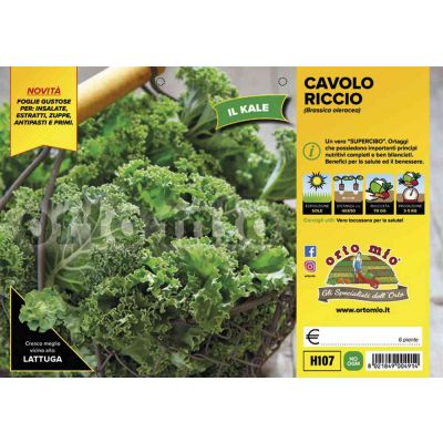 Altri Cavoli Green Kale H107