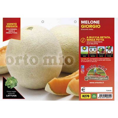 Melone Retato Senza Fetta H270