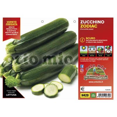 Zucchino Scuro Var. Zodiac H420