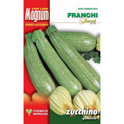 Zucchino genovese busta Magnum